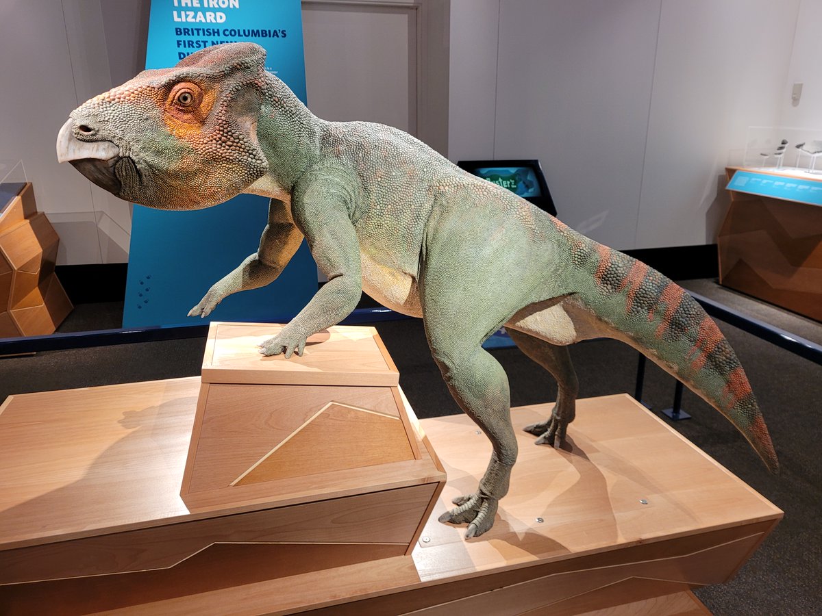 Victoria Arbour tweet media