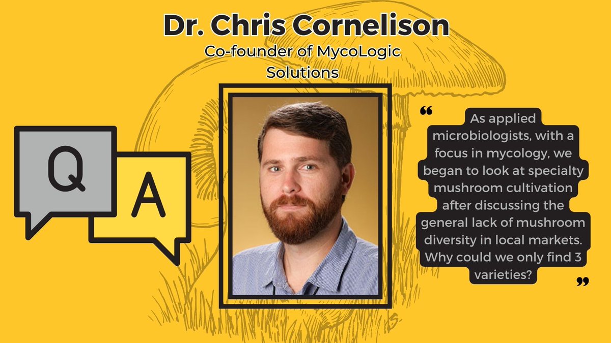 KSUresearch's tweet photo. Check out this Q&amp;A with Dr. Chris Cornelison about MycoLogic Solutions, which he co-founded with Kyle Gabriel! Find out where the idea came from and what makes them stand out as ‘a USA based company innovating solutions for growing mushrooms indoors’

Q&amp;A: https://t.co/eTS3lgRWUJ https://t.co/1ghWZQkabq