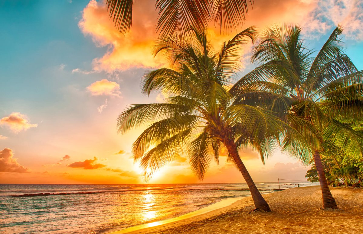Non-stop from #Manchester, UK to Barbados for only £337 roundtrip with <a href="/AerLingus/">Aer Lingus</a> #Travel (Jan-Feb dates)

secretflying.com/posts/manchest…