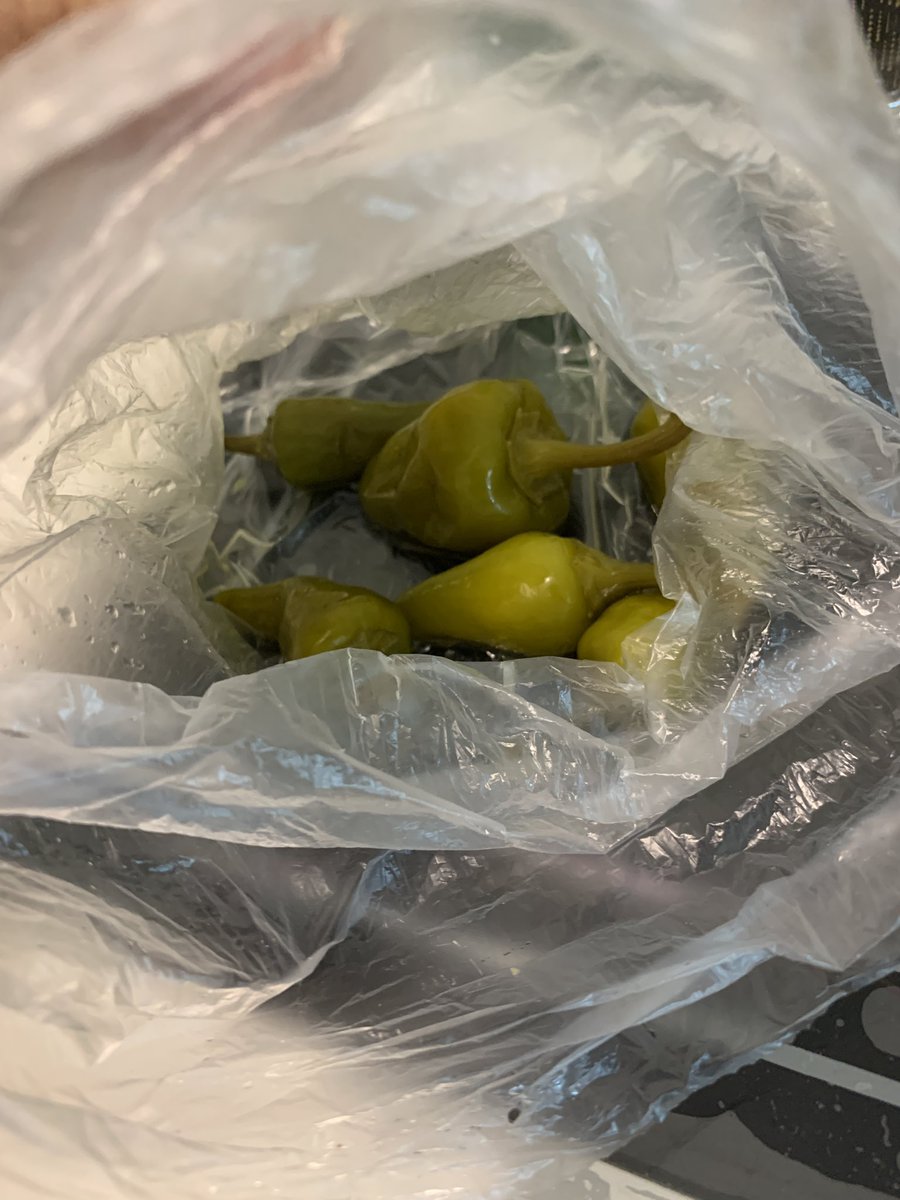 Yeşil çay ve maden suyuyla kapanış yapacakken bişey oldu ve bu biberi gördüm 😂😂 Yeşilçay ile başlayan yolculuk acı biber ve makarna ile devam etti 🤣🤣