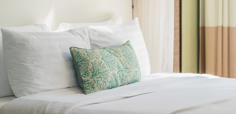 clarabinoche's tweet photo. Are you seeking the best #OrganicCottonPillow to alleviate neck and back pain? If yes, this guide will help you pick the right pillow.
#TipsToChooseRightPillow #CottonPillow #HealthBenefitsOfOrganicPillow #HypoallergenicLatexPillow
https://t.co/1DfxqZOzBQ https://t.co/ML3UUvhdTy