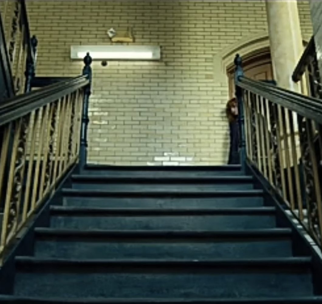 Squirrel Enthusiast (@lavender13haze) on Twitter photo 