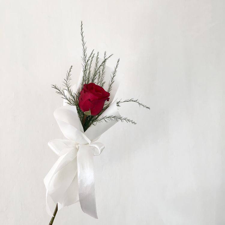 ᅟᅟ
ᅟᅟᨵ · 𝐏edido: especial da tarde

ᅟᅟ⇢ 𝐃e: 🔥
ᅟᅟ⇢ 𝐏ara: @rkVampireQueen 

ᅟᅟ📬 : 『  Eu te amo mais que tudo, minha gatinha. Feliz dia dos namorados!