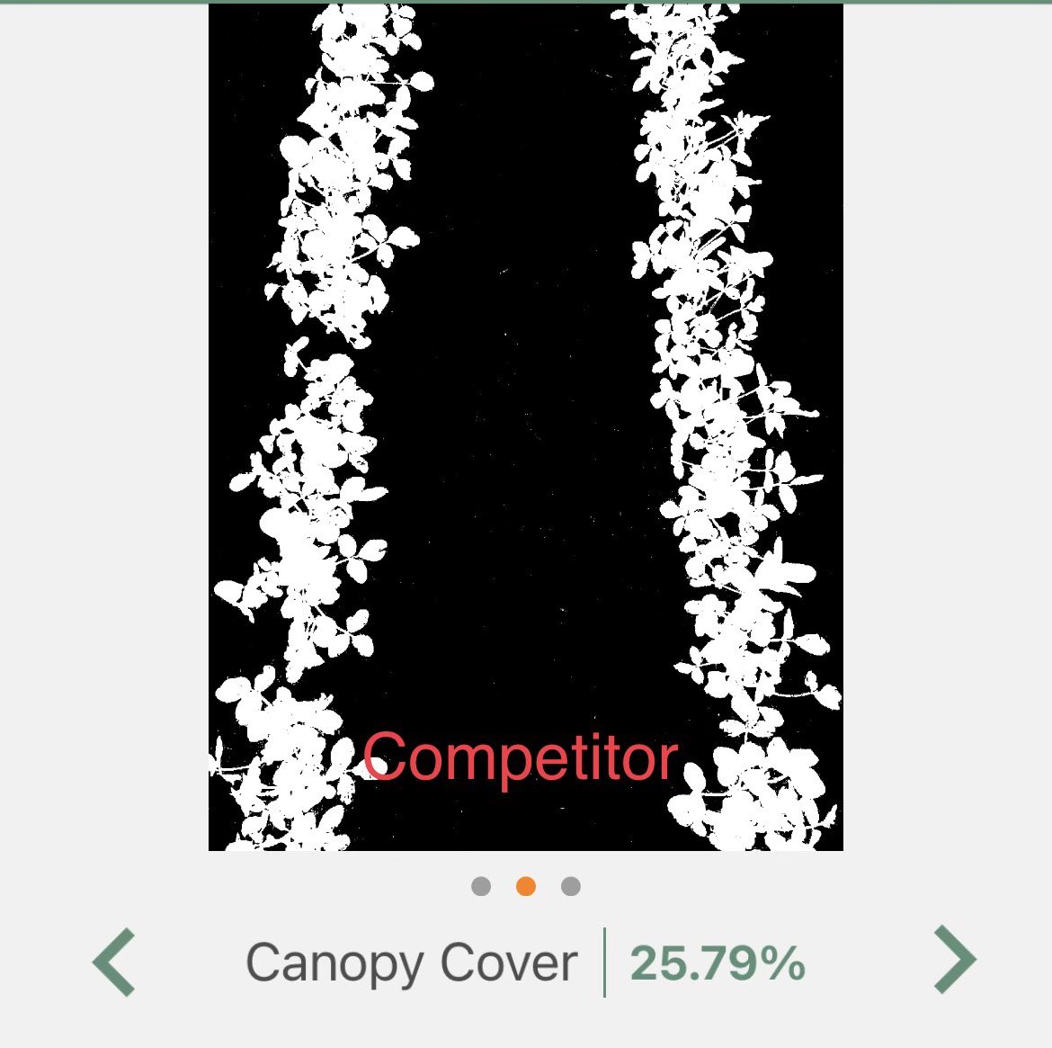 JohnMcLemoreAG's tweet photo. Syngenta’s CP brands show a 6.22% canopy cover advantage vs the competitor. There were differences (halo on cotyledons, leaf burn, and less residual weed control) noticed early on, and persist 39 DAP. Only 2.39” of 💧 with an avg temp of 64F since planting. https://t.co/SCqzTQ1Fsa