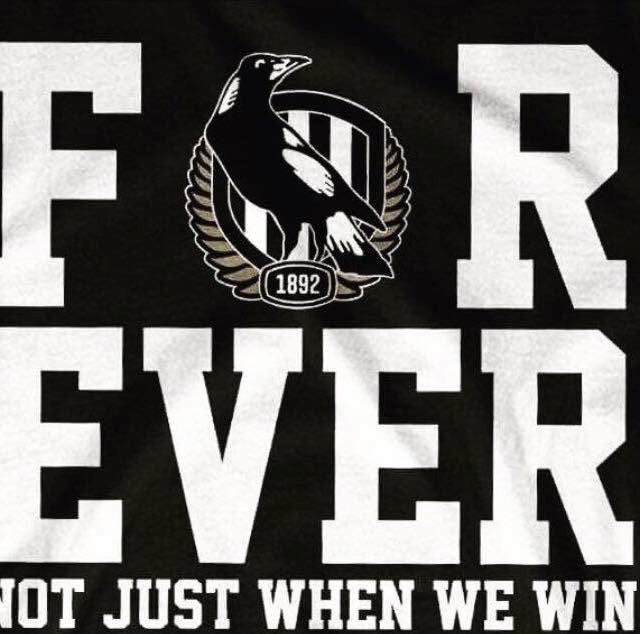 Good Old Collingwood Forever!! Not just when we win!🖤🤍🖤🤍🖤🤍🖤🤍❤️