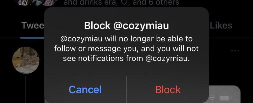cigsinthepool's tweet photo. @cozymiau https://t.co/NqyyRJ3xRW