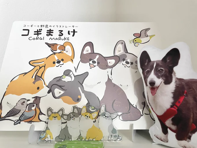 デザフェスではぬいぐるみやアクリルスタンドなどの子たちを連れてきてくださった方もいらっしゃったので、今回は撮影できるスペースも作る予定です 良かったらクリマでも一緒にお写真撮れたら嬉しいです☺️