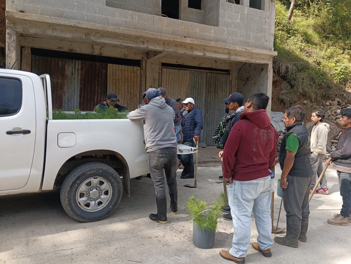 inabguatemala's tweet photo. Junto a los #AmigosDelBosque reforestamos áreas de recarga hídrica en #Totonicapán. del comité de Agua de la comunidad de Patzite No. 1, plantamos 300 árboles de pino blanco y pino colorado cerca de los 11 nacimientos de agua potable que abastecen a comunidades cercanas.#RegionVI https://t.co/AEe9GjC6lf