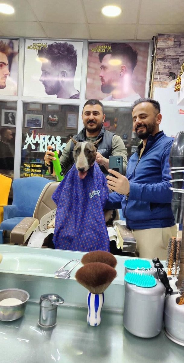 Berke (@jemappelleberke) on Twitter photo 