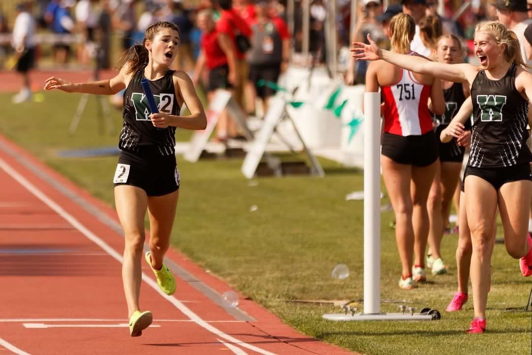 sarah peer tweet media