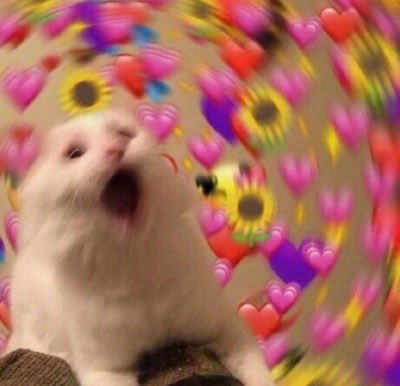 Anjunabitch tweet media