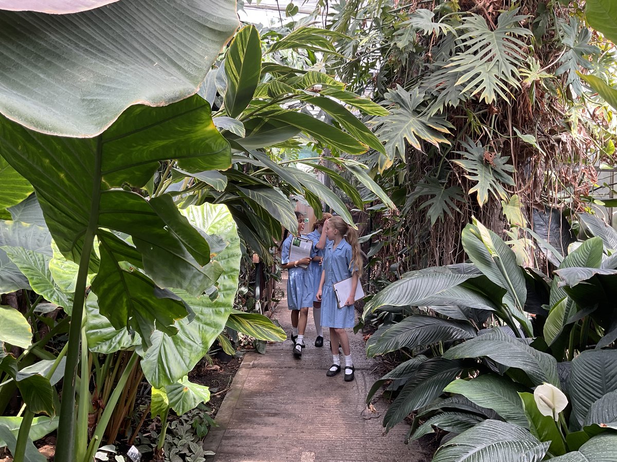 Highfield Prep tweet media