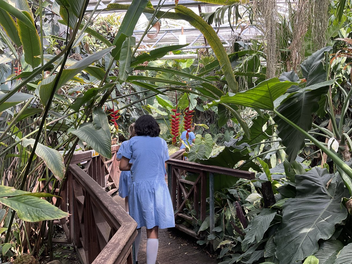 Highfield Prep tweet media