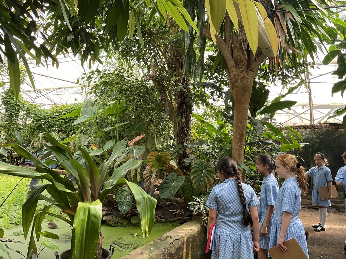 Highfield Prep tweet media