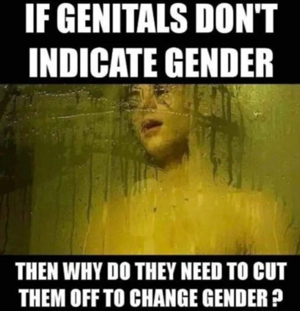 QueenAnticommie's tweet photo. Great question https://t.co/jwu1YA7UDT