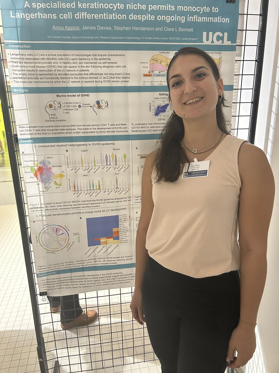 Anna Appios tweet media