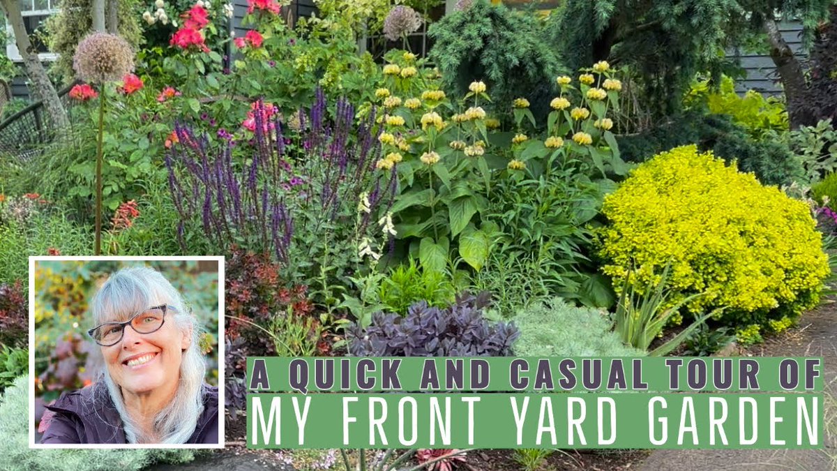 A Quick and Casual Tour of My Front Yard ...
 
#Bloomtown #BloomtownGardens #Bulbs #DarcyDaniels #Egardengo
 
allforgardening.com/508080/a-quick…