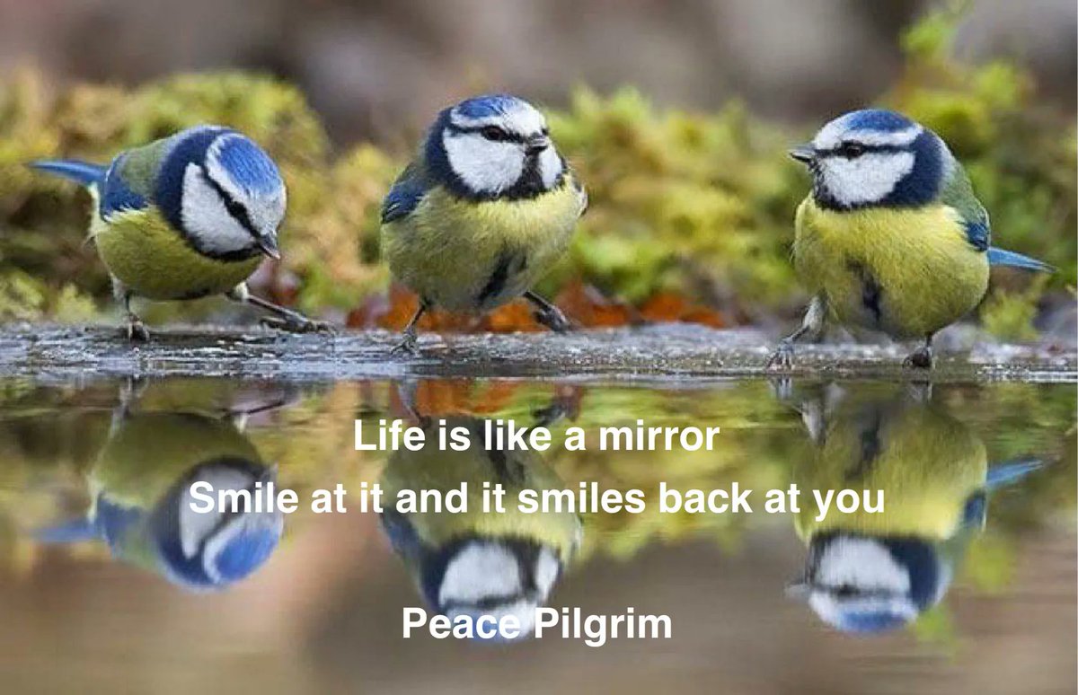 Life is like a mirror
Smile at it and it smiles back at you.

Peace Pilgrim