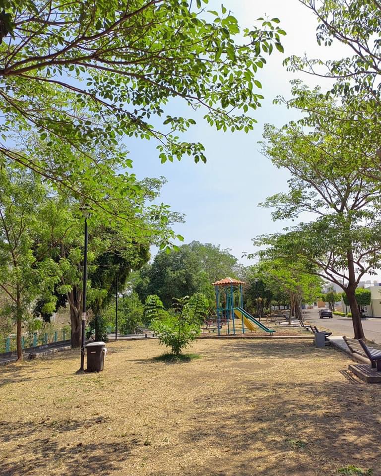 ColimaMunicipio's tweet photo. ¡Con #TusImpuestosTrabajando estamos limpiando la capital!
Atendimos el jardín vía láctea para tener el #ColimaLimpio que queremos. https://t.co/WrvV5f290p