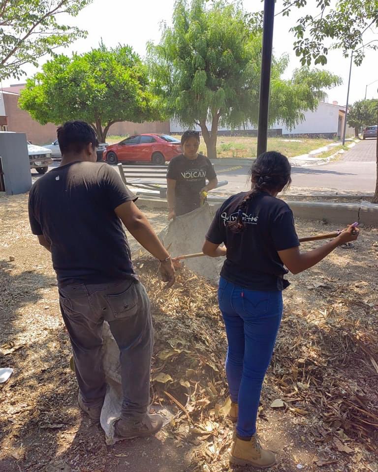 ColimaMunicipio's tweet photo. ¡Con #TusImpuestosTrabajando estamos limpiando la capital!
Atendimos el jardín vía láctea para tener el #ColimaLimpio que queremos. https://t.co/WrvV5f290p