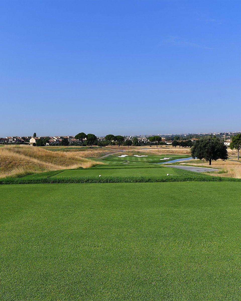 Ryder Cup USA tweet media