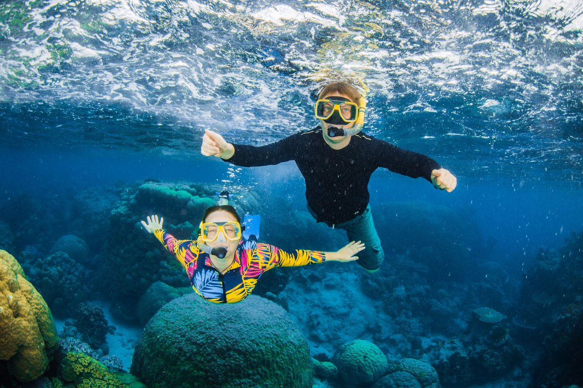 Kenny Ardouin tweet media