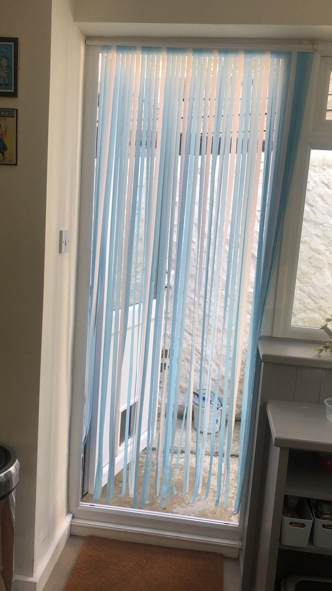 Cate Searle tweet media