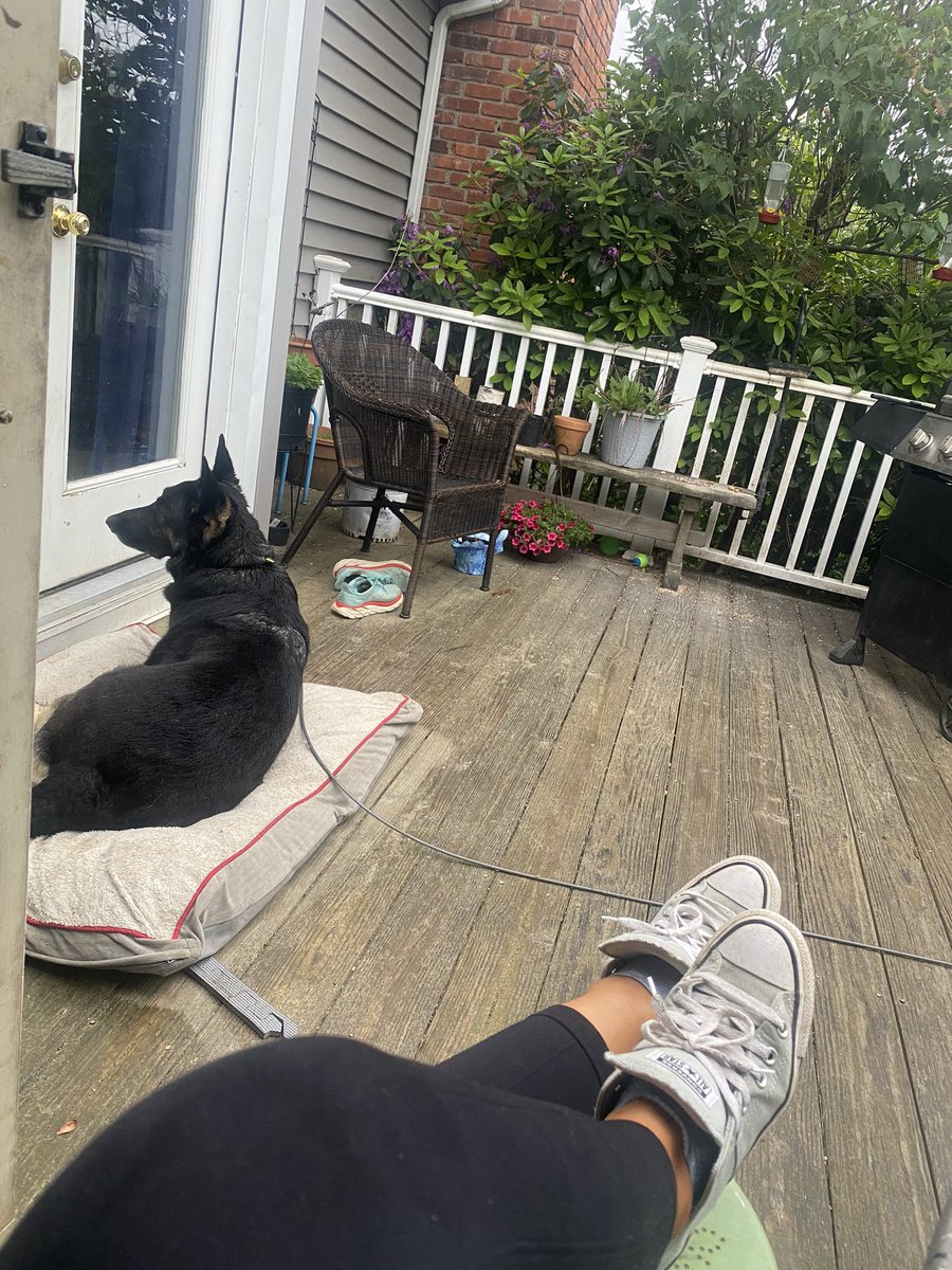Rynncoll's tweet photo. Hanging on the deck with my sweet girl in the rain, listening to another crime/murder podcast. It’s a strong possibility I may be broken… we may be broken. 🤷‍♀️ #summerrain #zen #calmthyinnerbeast #letsnotmeet https://t.co/zTeTgFAQSe