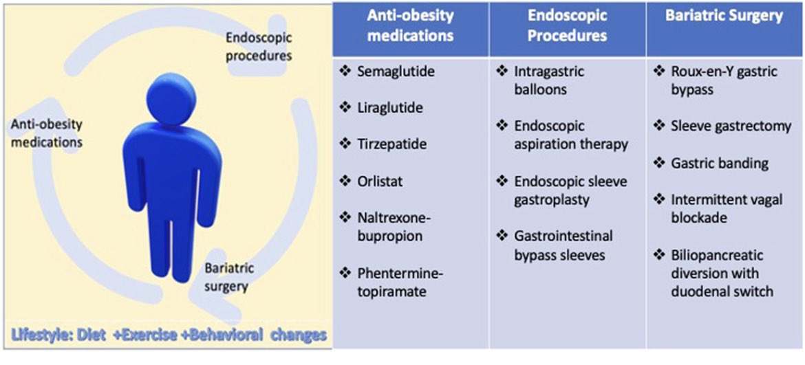 Excited to share our recently published article highlighting different approaches for obesity management and their CVD effects! <a href="/OMAsocial/">Obesity Medicine Association</a> @ELS_Cardiology <a href="/ASPCardio/">ASPC</a> 
Big thanks to my wonderful coauthors and mentors! <a href="/amehta_09/">Anurag Mehta</a> @mahrifai <a href="/DrGermanMD/">Charles German</a>
sciencedirect.com/science/articl…