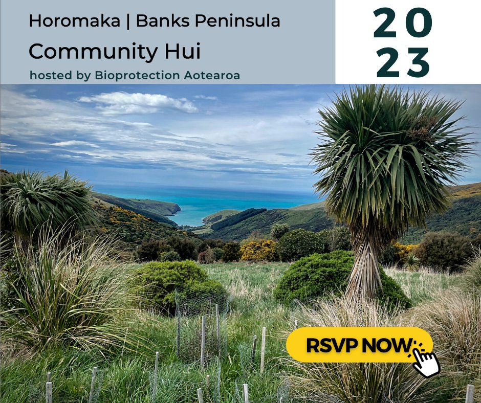 📢Join us this Thursday, 15 June from 10.30-1.00 pm to hear about our research that connects to the whenua of the Banks Peninsula/Horomaka Region, empowering communities with knowledge to act as kaitiaki of our whenua‼️ To secure your spot RSVP via 📩 bioprotection@lincoln.ac.nz
