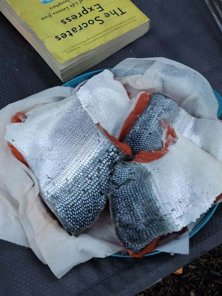 RealAKOutdoors's tweet photo. A few days ago started our ability to offer “cook your catch” at camp. Picture this. You catch a salmon from the rivers mouth and in 45 minutes you’re eating it for dinner at basecamp. No way you can eat salmon more fresh than that. https://t.co/hgEUc7lBGT