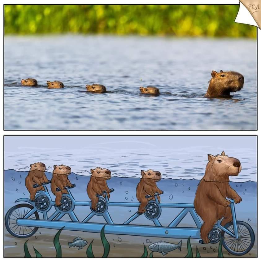 Houston Bike Guy (@bcycle_myles) on Twitter photo 