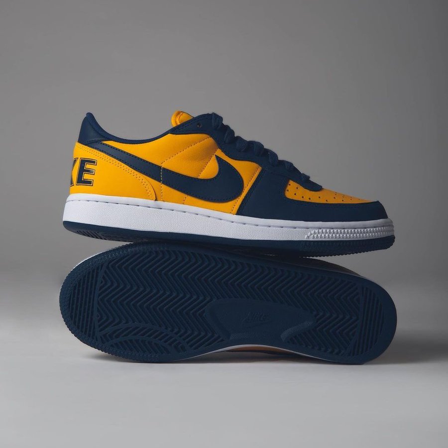 snkr_twitr's tweet photo. AD: Nike Terminator Low 'Michigan' drops tomorrow at 7am PT/10am ET

SNKRS US -> https://t.co/rqQtHnXW5Z https://t.co/tPOeEsq1sr
