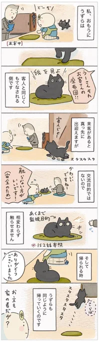 お出迎え?もてなしを受けたい? まるで自分も客人かのように同席する猫【連載】ねこ連れ草 282話め|ねこのきもちWEB MAGAZINE 