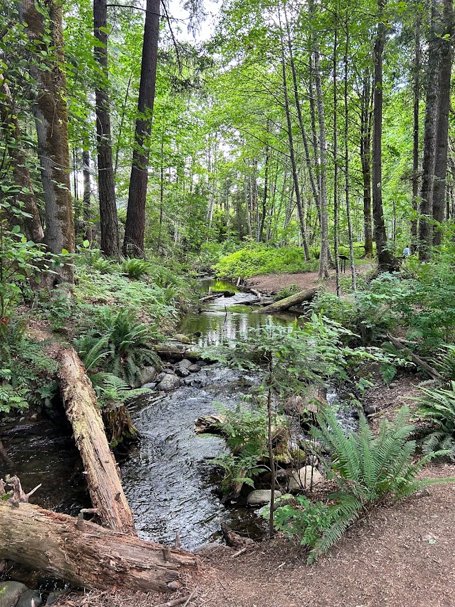 PacificPineCo tweet media