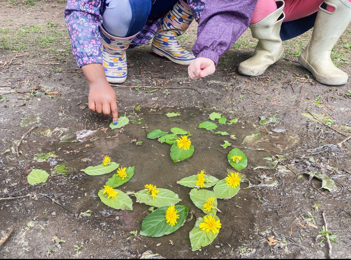 ECEChristine's tweet photo. Play based learning is powerful! 

During outdoor learning, a few kinders made boats for the worms and frog we saw. We counted each ship and placed each dandelion with intention and purpose. When we went back, the water was gone!

🌦️I love authentic in the moment learning. https://t.co/mab0U2irbf