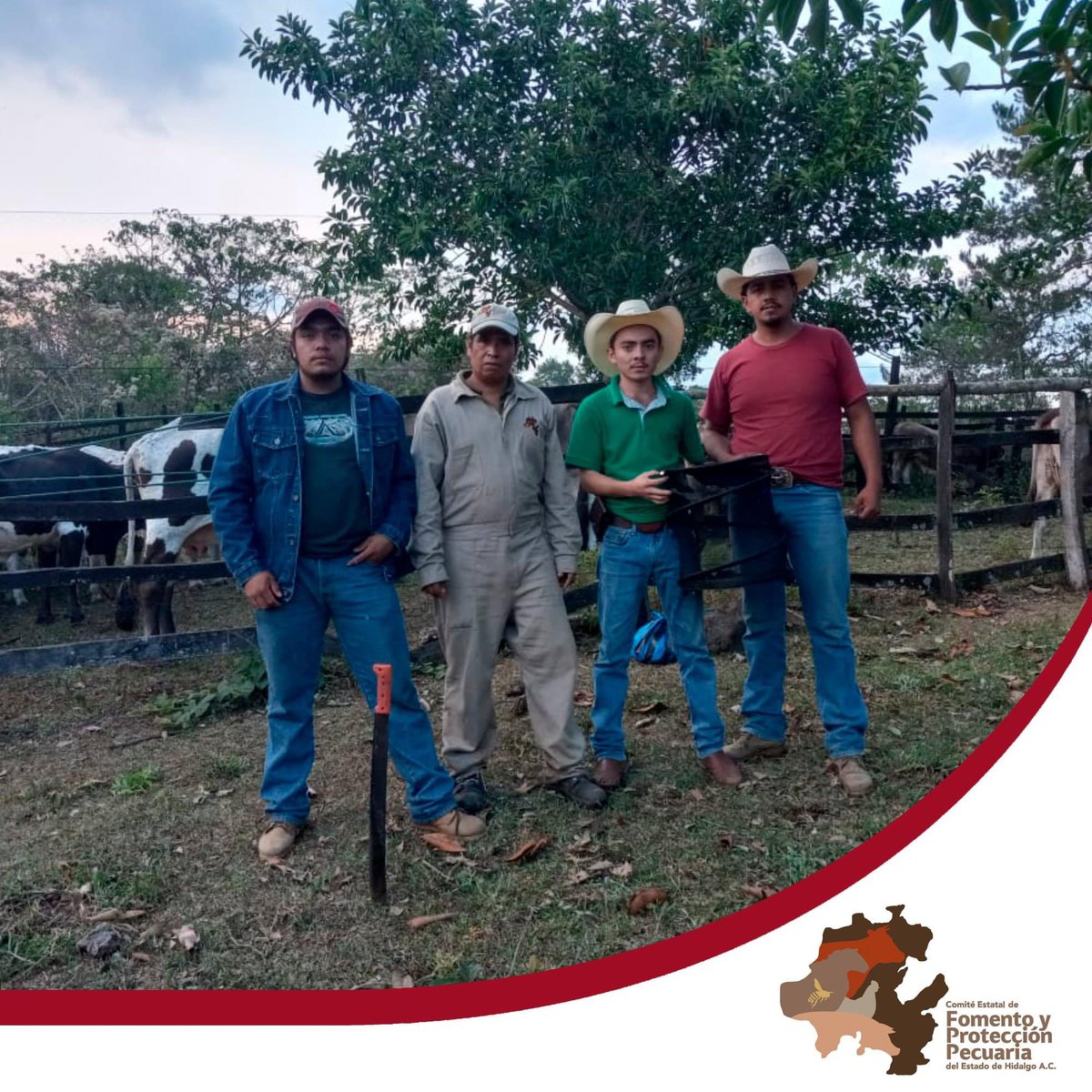 cefpphidalgo's tweet image. El Ing. Alfredo Hernández Hernández, de la Campaña de rabia, que opera este  Comité, capacitó a personal de Presidencia Municipal de Molango de Escamilla para la formación de una brigada de captura, con la finalidad de coadyuvar en el control de murciélago hematófago.