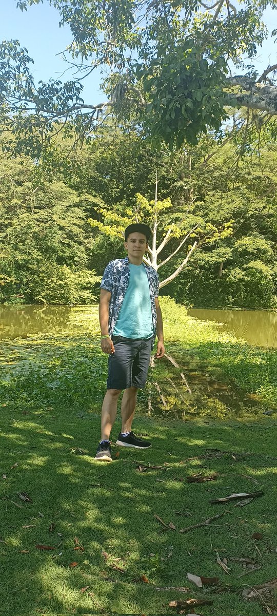 Paz y tranquilidad