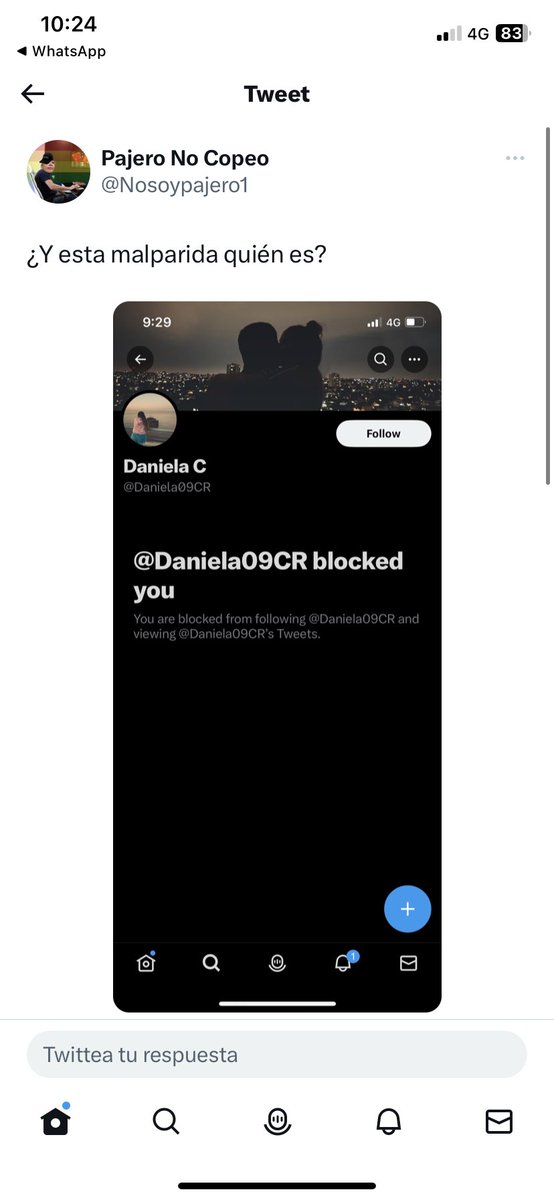 Daniela C tweet media