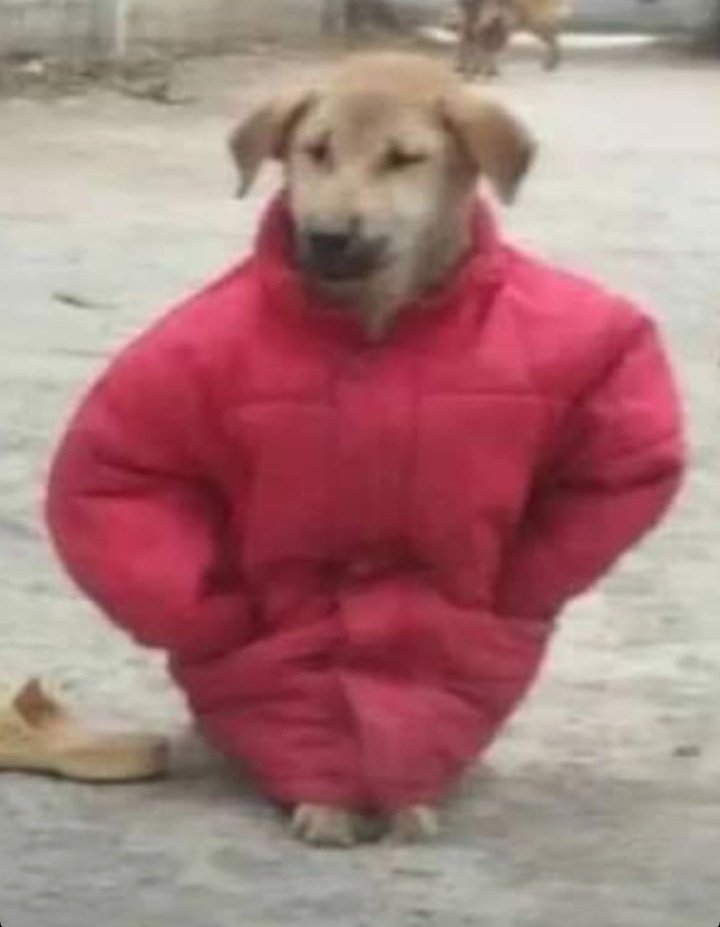 EN MI PIEZA HACE MAS FRIO QUE AFUERAAA