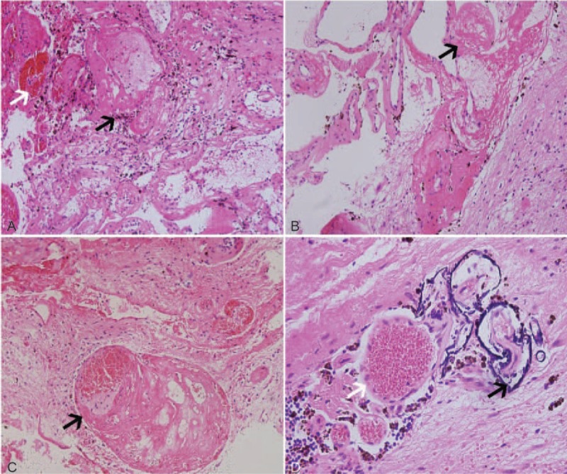 pathobotology tweet media