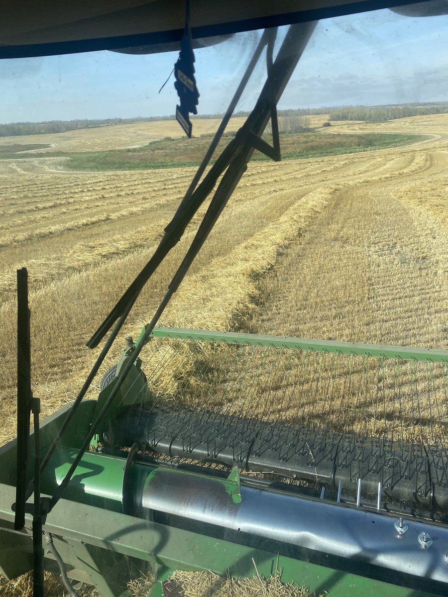 BigMACsbeef's tweet image. 