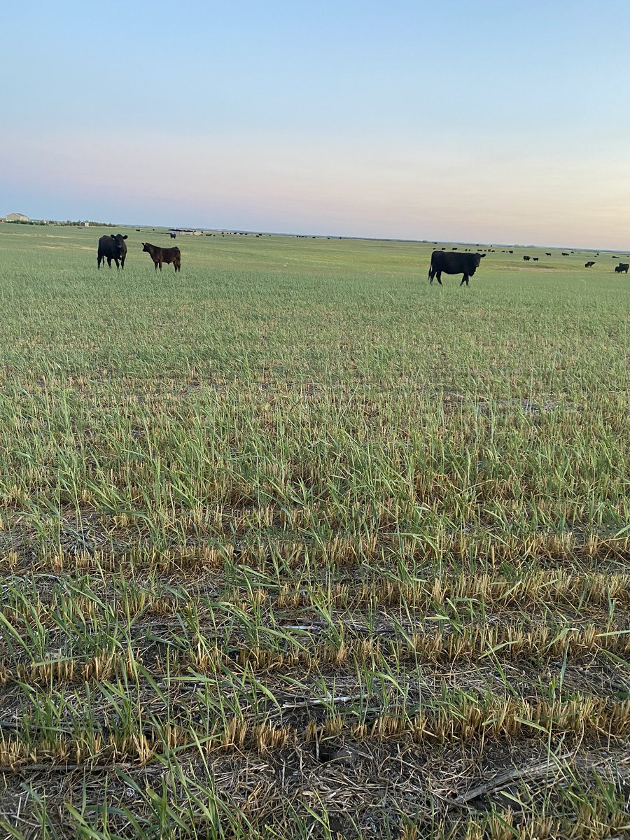 <a href="/KeyBioSolutions/">Keybio Solutions Ltd.</a>