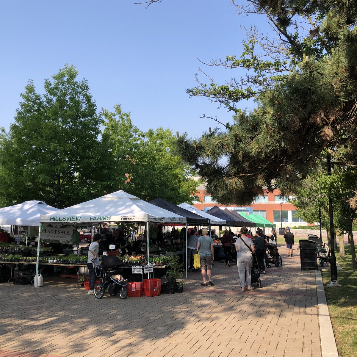 Tomorrow, TUESDAY, JUNE 13, is market day! Come see us at the East York Civic Centre from 8am to 2pm!