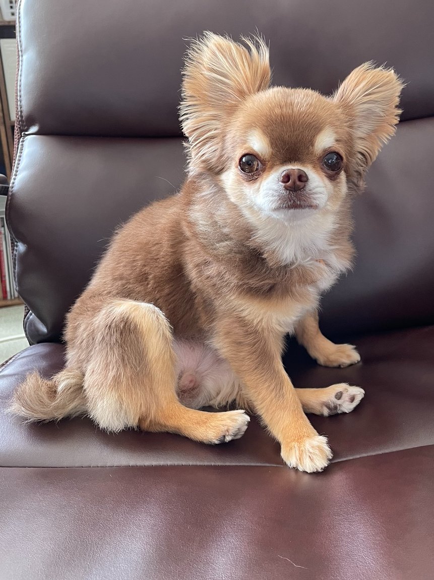 omp63's tweet photo. おはよう御座います。近江印刷社長の一郎です。
当社の周りは、緑豊かで、梅雨の時期は、夜間に源氏蛍が現れます。昨夜も、愛犬の散歩中に観てきました。幻想的な風景でした。

#源氏蛍
#OMI一郎社長のつぶやき
#全国の一郎と繋がりたい https://t.co/0FxcT1mNAO