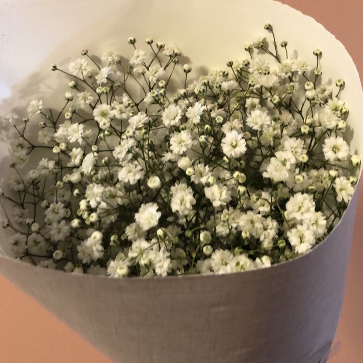 juuuksw's tweet image. te amo mosquitinho te amo