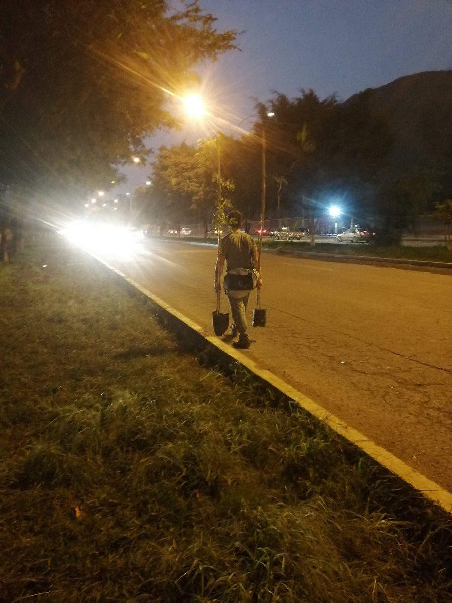 gogreen_peru's tweet photo. Hoy continuamos plantando  árboles frente a entrada occidente 🌳🌳🌳🌳🌳🌳🌳🌳

Gracias a todos los que adoptaron sus árboles y en especial a mi hijo que me ayudo en la plantación. https://t.co/8AsZBFrH11
