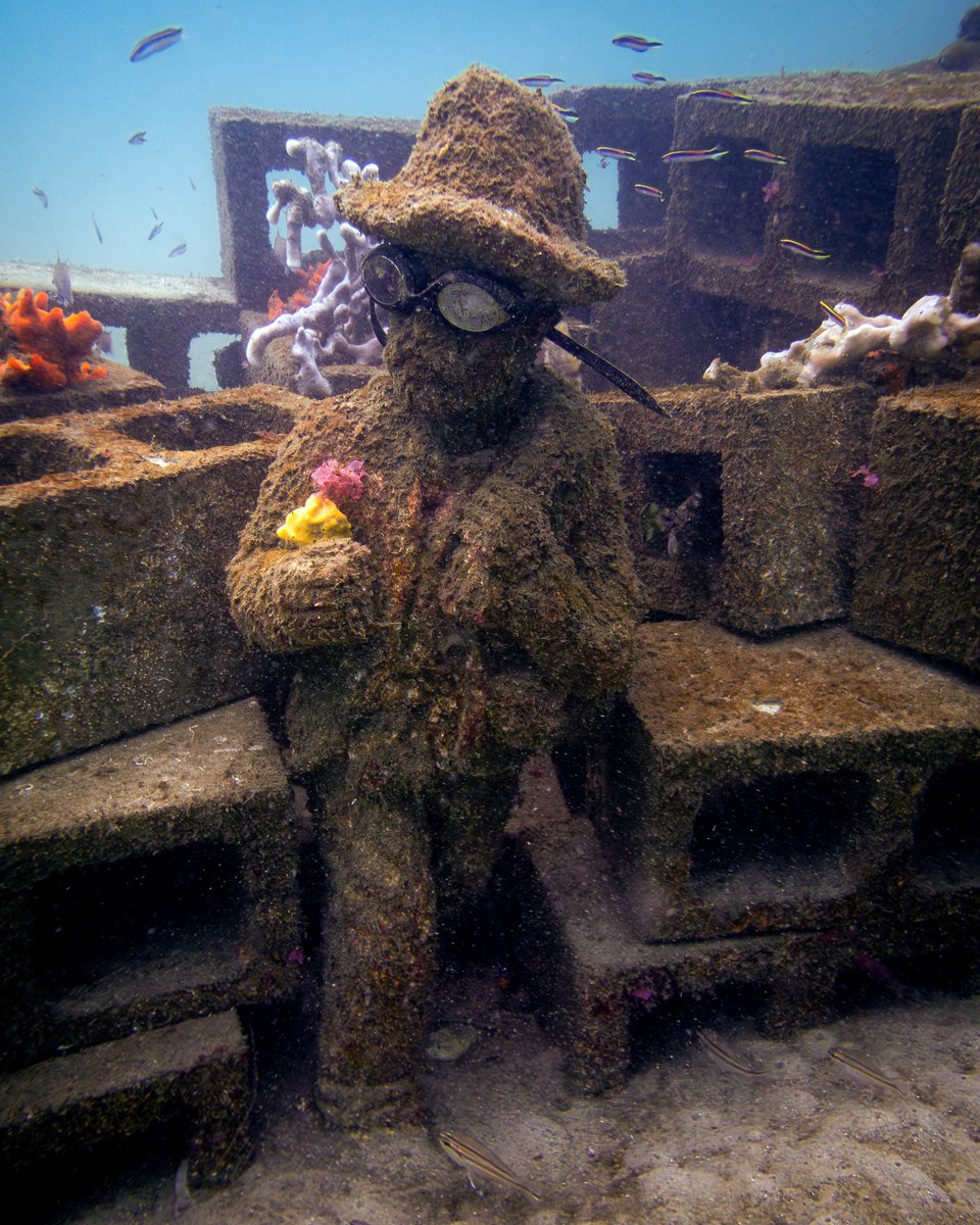 WarrenPrior's tweet photo. Great little dive with Kerry and Sharon at Clifton Gardens - anglerfish, seahorses, octopus, cuttlefish, blemmies, and a few sneaky statues #scubasydney #underwaterphotography #explorensw #exploresydney #scuba #padi https://t.co/0pWwMng4qP