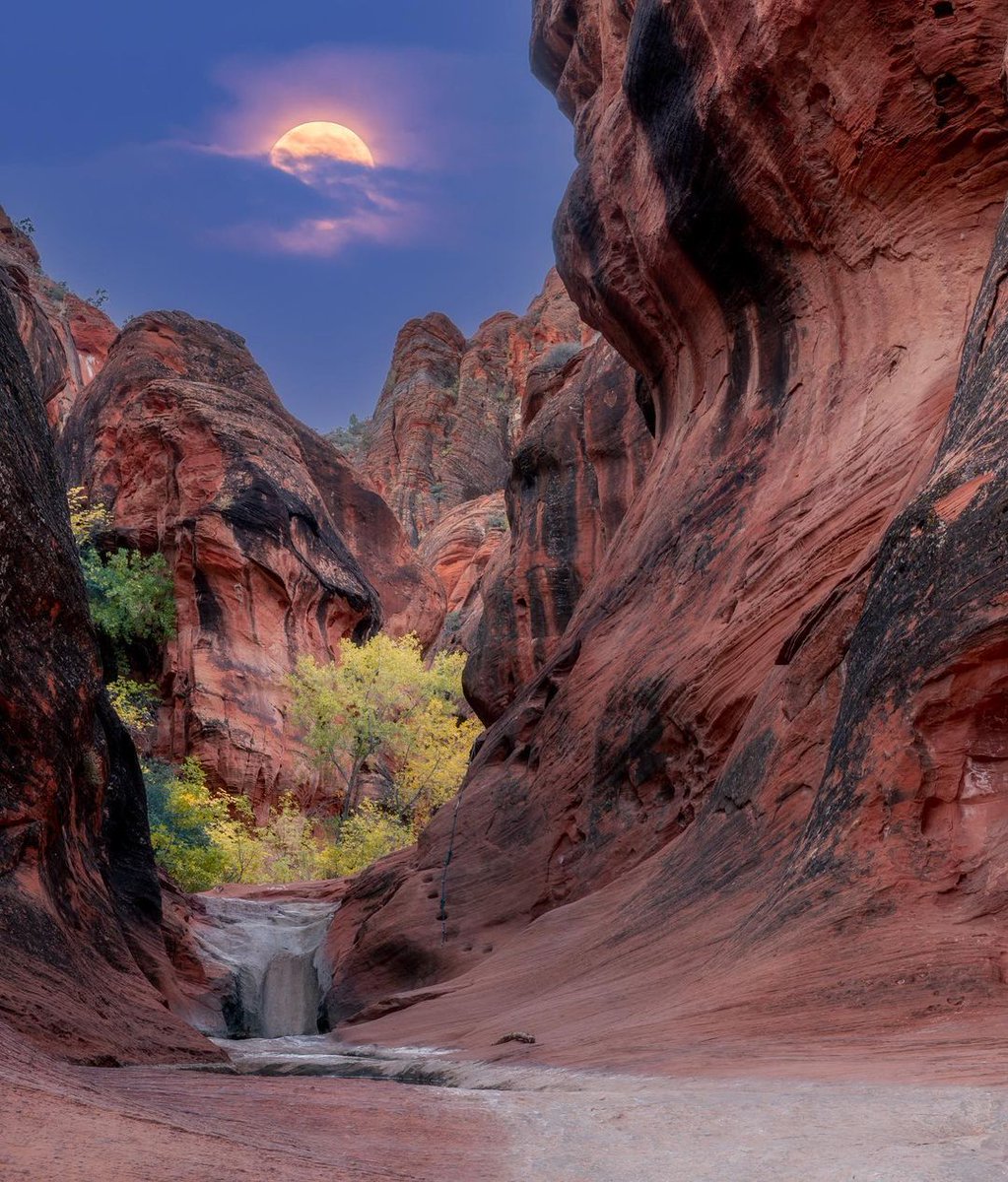 Hike the Exciting Red cliff Recreational Area, Utah ,USA 📸 🇺🇸 
#utah #saltlakecity #slc #utahisrad #utahgram #nature #travel #utahphotographer #usa #hiking #arizona #photography #visitutah #adventure #texas #roadtrip #california #moab #mountains #parkcity #naturephotography