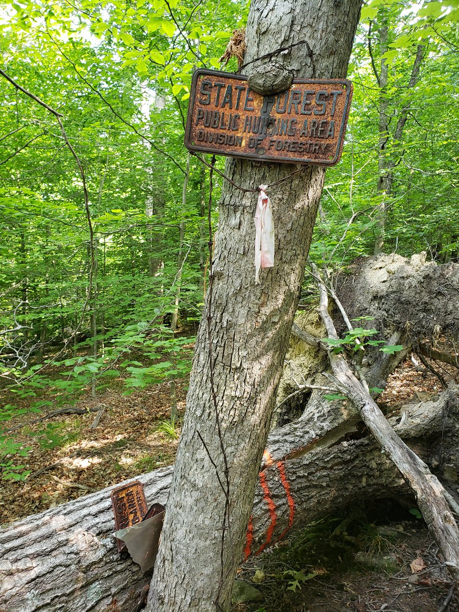 HoosierHiking's tweet photo. Spent the past two weekends hiking a little more local, hiking out and back on the southern end of the Tecumseh and then Versailles and Clifty Falls SP this past weekend. A couple more local weekends then the group is heading back down to hike up the #Sheltowee July 4th weekend! https://t.co/WdrIsr6CQ1